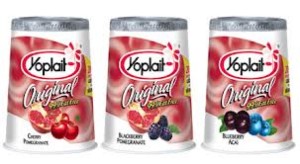 yoplait yogur