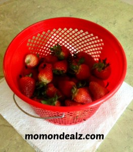 picked strawberrie